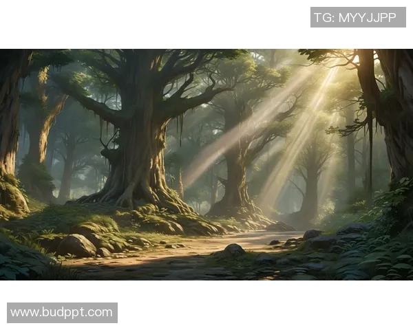 琼斯的奇幻冒险之旅探索未知世界的秘密与挑战