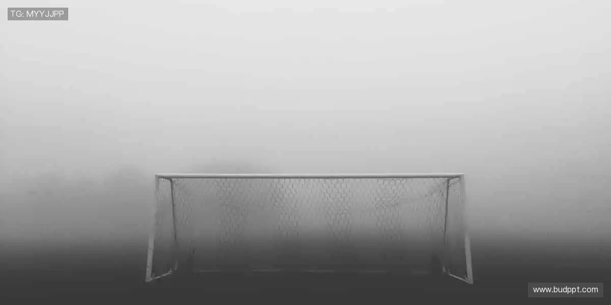 🌟 独家专访,幕后花絮,揭秘运动员的真实日常!